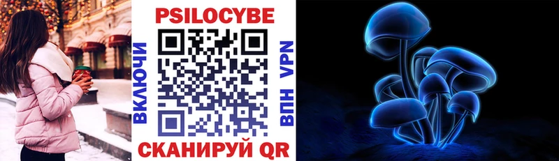 Псилоцибиновые грибы Cubensis  нарко площадка формула  Канск 