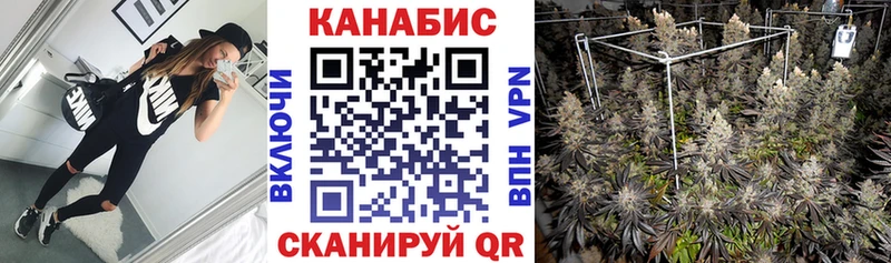 купить   Канск  МАРИХУАНА White Widow 